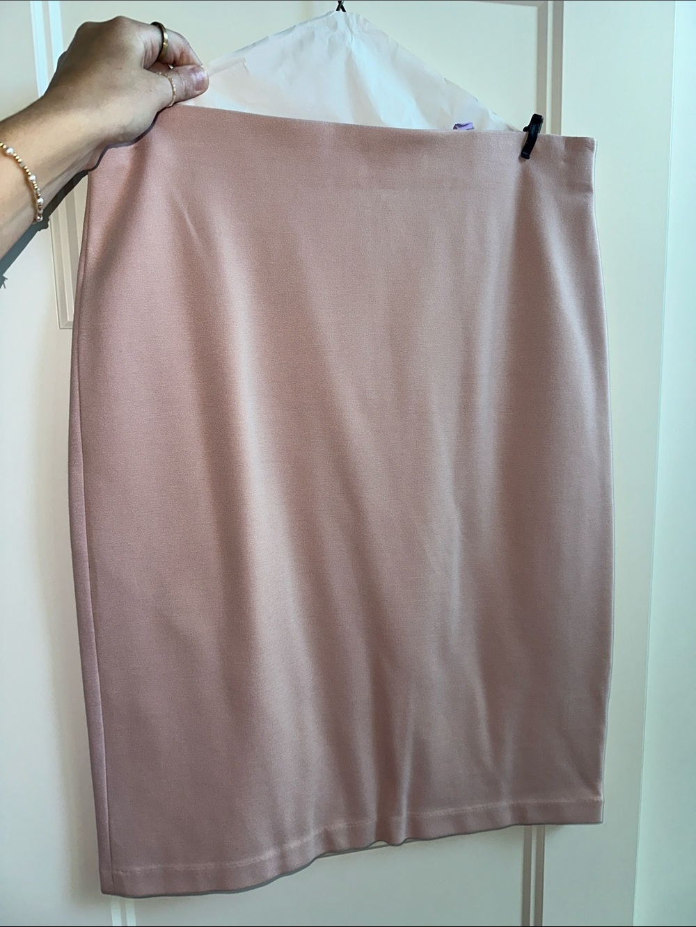 Philosophy Blush Pink Pencil Skirt